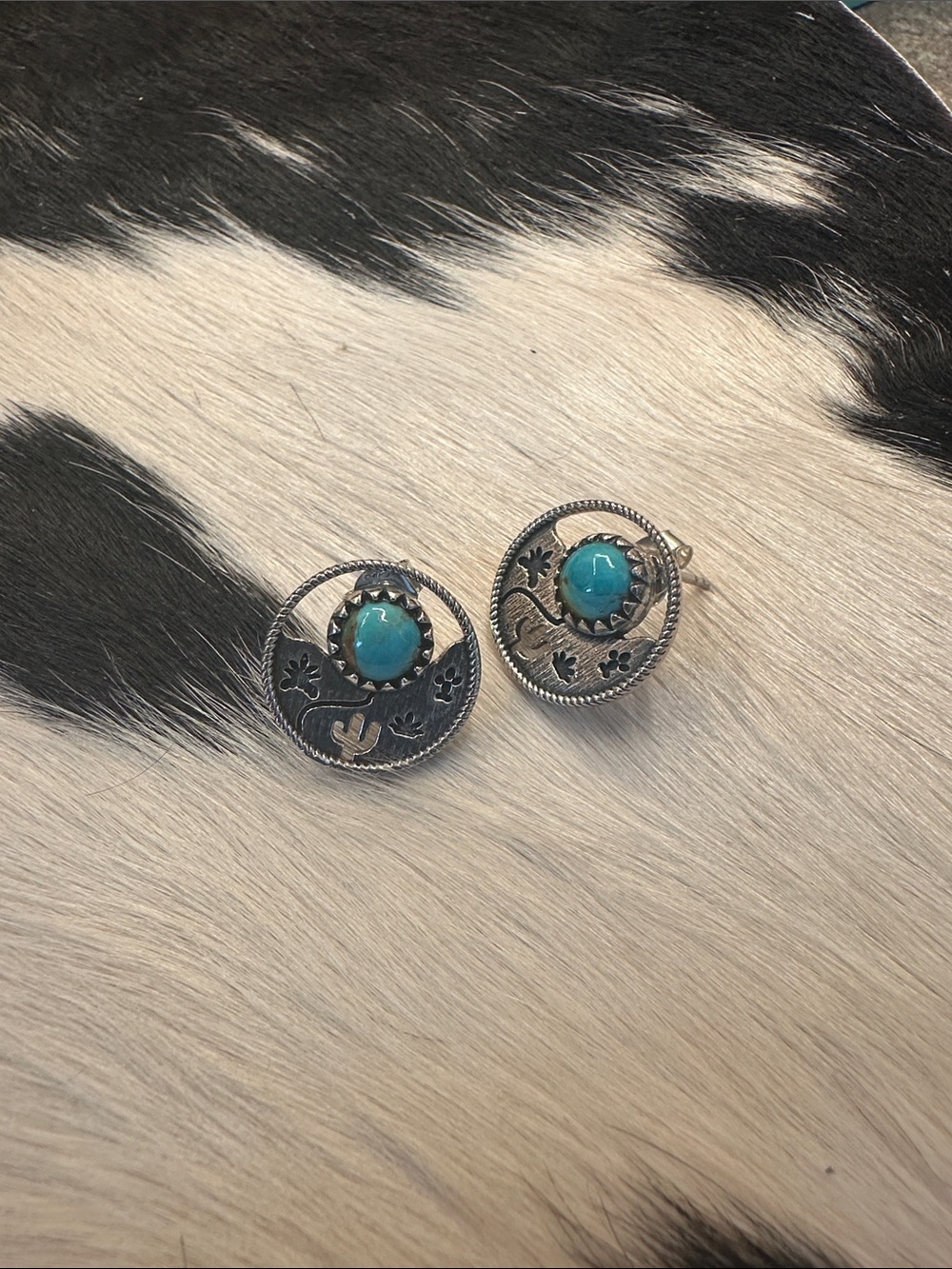 Turquoise Accent Silver-Tone Round Stud Earrings - Women Jewelry cactus